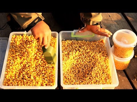 приготовление кукурузы для ловли карпа